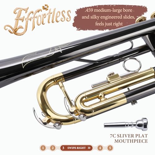 Image of ALLSET Bb Standard Trumpet Set for Beginners - Brass Trumpet Kit with Musical Instruments Case, Mouthpiece, Cleaning Cloth, Valve Brushes - Trompeta for Student Band & Orchestr (Gold & Black)