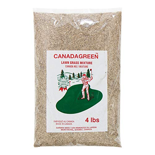 Top 10 Grass Seed Blankets of 2021 Best Reviews Guide