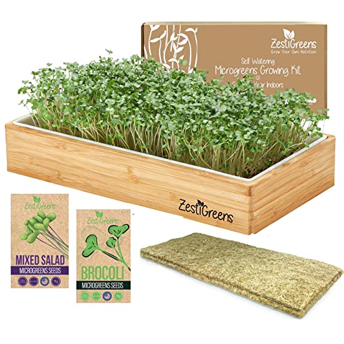 Self-Watering Microgreens Growing Kit – Easiest Way to Grow Fresh...
