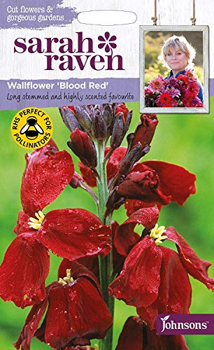 Johnsons Seeds Sarah Raven Cut flowers & gorgeous gardens Wallflower Blood Red サラ レイブン カットフラワーズ ウォールフラワー ブラッド レッド ジョンソンズシード 期限切れ間近のため売り尽くしセール