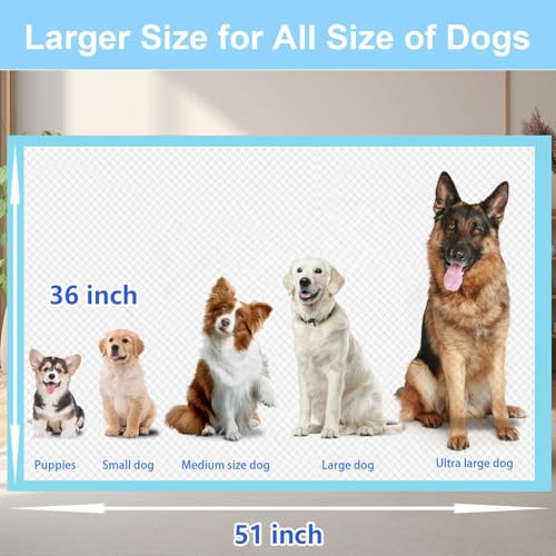 Image of XXXXL Puppy Pee Pads for Dogs 36 inchx51 inch 40 Count, Extra Large Dog Pee Pads, Leak-Proof & Super Absorbent Dog Pee Pads, Thicken Disposable Potty Pads Puppy Training Pads for Cats Rabbits