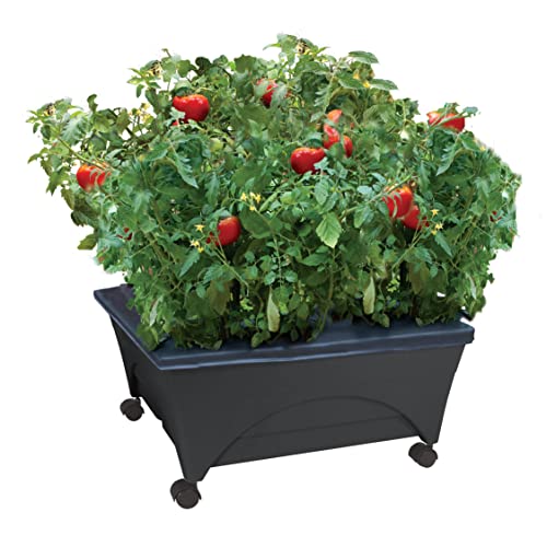 Emsco Group City Picker Raised Bed Grow Box – Self...