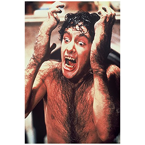 David Naughton 8 Inch x 10 Inch photograph from Slide An American Werewolf in London Steel and Lace The Gathering Hands to Head Early Transformation to Werewolf kn