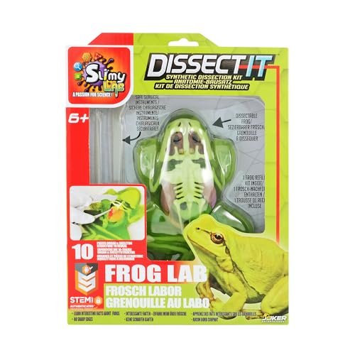 SLIMY Lab Dissect-IT - Kit di sperimentazione e scoperta - Laboratorio di melma, giocattolo di apprendimento STEM/menta premiato - Kit di plastilina con plastilina e strumento di dissezione -