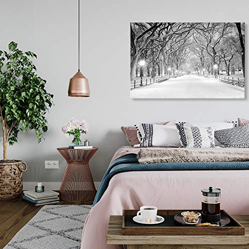 Seven Wall Arts Beautiful Winter Canvas Wall Art Landscape Snowy Trees Central Park Canvas Art Modern Cool Wall Pictures Giclee Print On Canvas Modern Bedroom Living Room Home Decoration,Framed 36" X 24" #TOP4