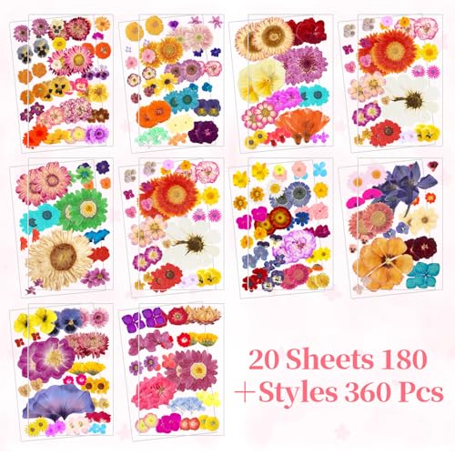 360 stickers de flores prensadas en 20 hojas miniatura 3