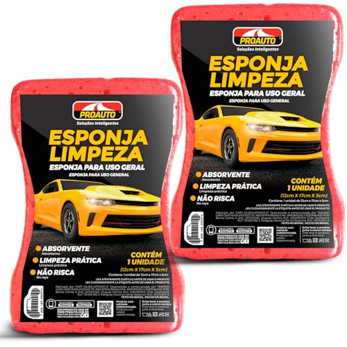 Kit 2 Esponja Limpeza para Carros e Uso Geral 17x12x5cm | Não Ris...