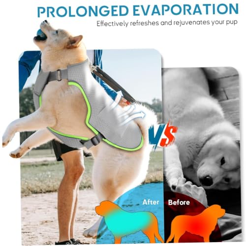 Chaleco de enfriamiento para perros L con bolsa de hielo y arnés ajustable reflectante 8