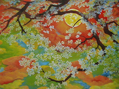 田中八絵、【和み桜（なごみざくら）】、希少な額装用画集より、美品、新品額装付 Amazon.co.jp: 田中八絵、和み桜（なごみざくら）、な額装用画集