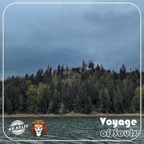 Voyage of Souls cover art