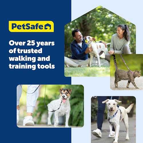 Image of PetSafe EasySport Harness - Padded Shoulder Straps - Fully Adjustable with Elastic Neckline - Ideal for Sport Dogs - Top Handle for Quick Control (Large, Teal Blue)