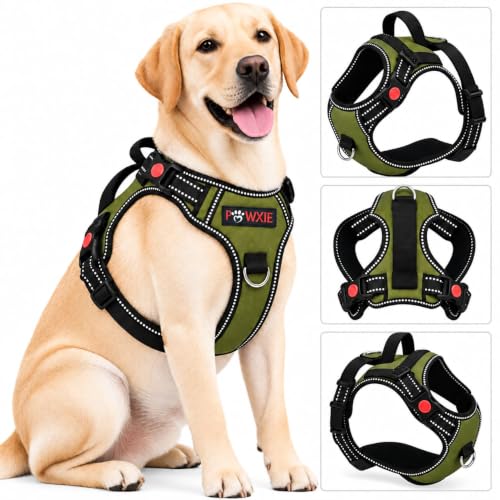 Image of No Pull Dog Chest Belt Harness, Adjustable, Comfortable & Secure Fit (Olive Green, S(5-13KG PET))