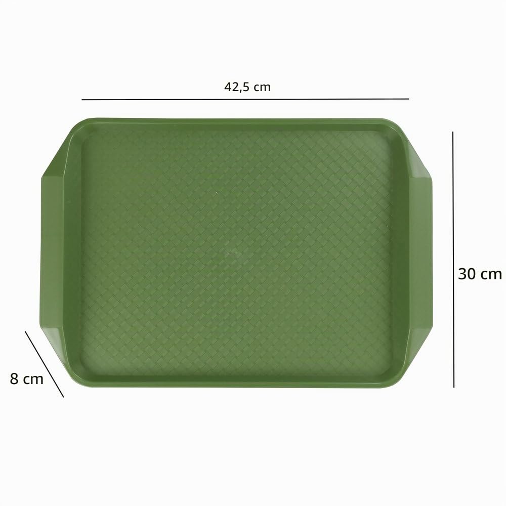 Juego de 6 Bandeja Antideslizante, Bandeja Servir Comida