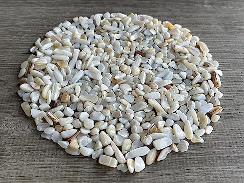 Mother of Pearl Chips – Natural Mini Mother of Pearl Stones, Crushed Undrilled Mother of Pearl, Semi-Tumbled Genuine Mother of Pearl (3 lbs Bulk)