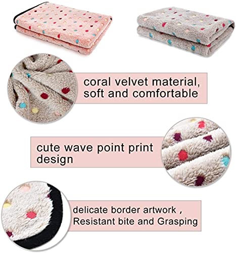 PAWZ Road Couverture de Chien Chat en Velours de cortail Doux et Confortable, Tapis Chien Chat Lavable en Machine Beige (Taille S: 77 * 53cm) - Image 6