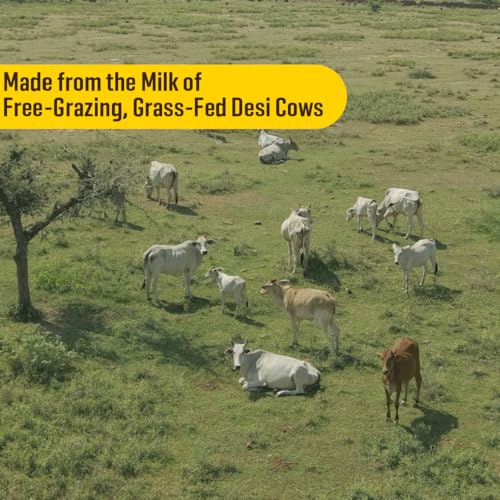 Image of KisaanSay Chambal Desi Cow Ghee 500ml | 100% Pure Desi Cow Ghee | Traditionally Bilona Churned | Promotes Gut & Heart Health | Immunity Booster | Rich in Nutrients | Vedic Method | Authentic Ghee