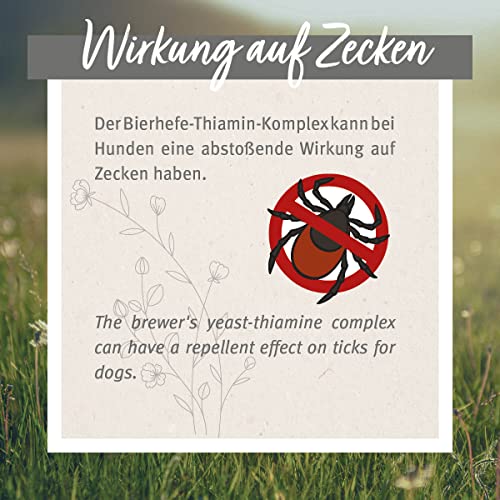 AniForte Zeckenschild für große Hunde 35-50 kg 60 Kapseln – Zeckenschutz Hund, unterstützt den Schutz gegen Zecken, natürlich & effektiv für Junior, Adult & Senior geeignet