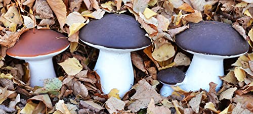 Svitmolds Concrete Mold Diy 3D Mushrooms Statue Decor Garden Decor Decoration Home Decor,Yard, Fairy Garden - Lawn Ornament Décor (D62+D63+D64) #TOP2