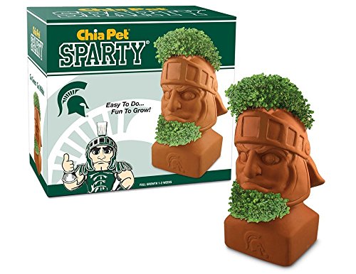 Chia Sparty  Michigan State (limitado versión)