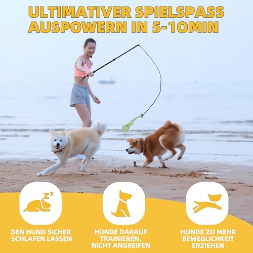 KOXXUD Reizangel Hunde, Profi Reizangel für Kleine, Mittelgroßer, Große Hunde für Ultimativen Spielspaß & Körperliche Auslastung (Seilstreifen + Seilbälle)
