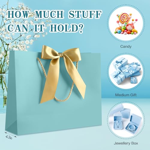 Image of JMANNI Gift Bags with Handles, 13 inch Medium Gift Bag for Presents, 1 Pcs Bags with 2 Tissue Paper and 1 Cards for Graduation Baby Shower Wedding Fathers Day Mother's Day Birthday Party (Baby Blue