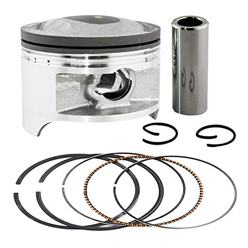 Road Passion Engine Piston and Rings Set for Suzuki DR200 42A 1986-1991 Suzuki SP200 1986-1988 DF200 1986-2000 DR200SE 1996-2013 DR200 DR200S 2015-2017 RV200 VanVan 2017 (STD 66mm;1 Set)