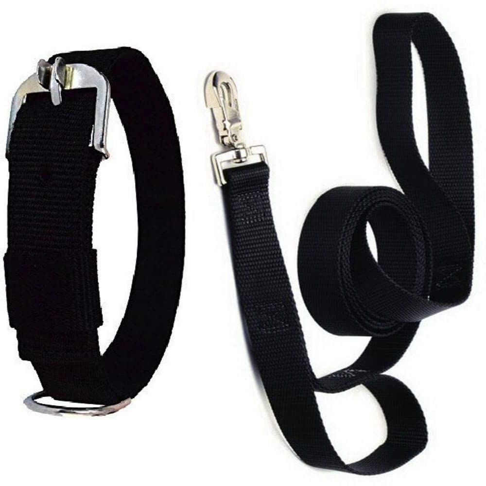 GTL Combo Dog Belt 1 Inch Black Collar with Black Dog Lease Adjustable Dog Collar & Leash Dog Collar (Black, Medium) (B09RTLPPMT) Amazon Price History, Amazon Price Tracker