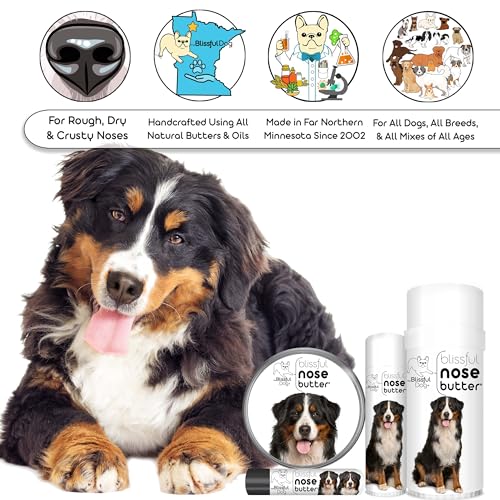 Image of The Blissful Dog Bernese Mountain Nose Butter, Versatile Dog Nose Balm for Dry Nose, Handcrafted Nose Moisturizer, Easy-to-Apply Dog Essentials, Unscented, 0.15 oz.