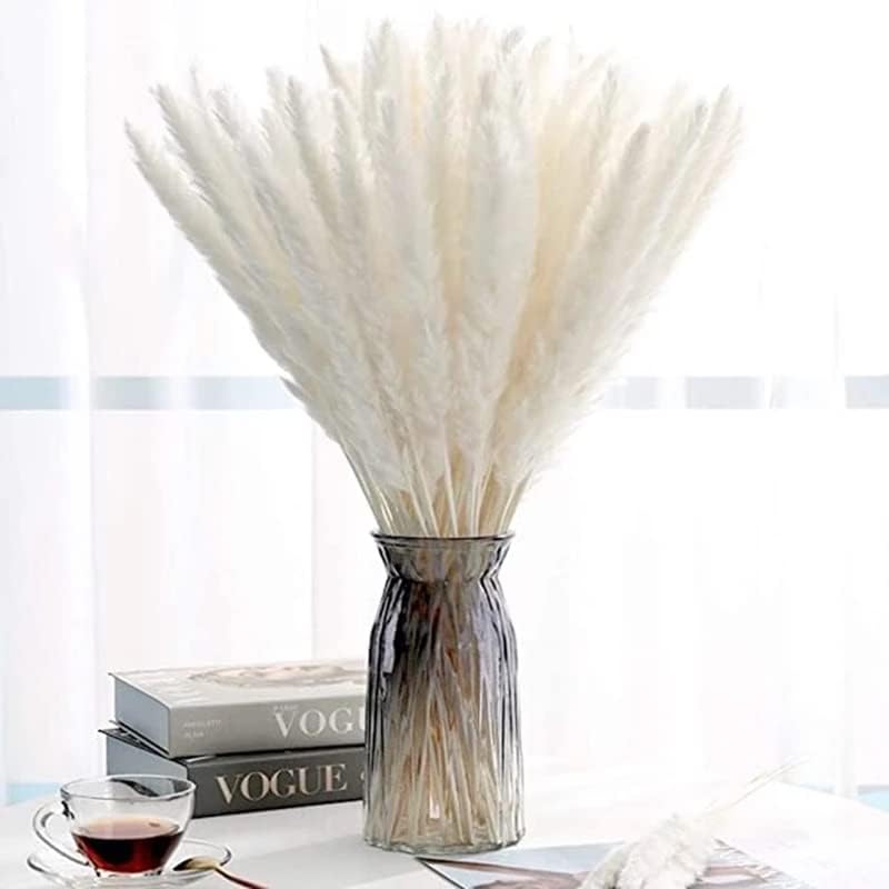 XHXSTORE 90pcs Pampas Grass Decor Cream White Fluffy Pompous Grass Branches 17.7" Natural Dried Grass for Boho Home Wedding Flower Arrangement Kitchen Vase Bedroom Decoration (No Vase)