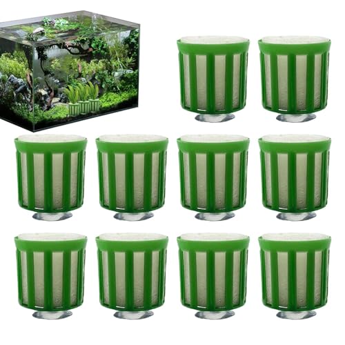 Anillo fijo para plantas acuáticas, anillo de soporte ajustable para plantas acuáticas, soporte seguro para acuarios | Anillo fijo fácil de usar para acuarios y estanques, soporte duradero