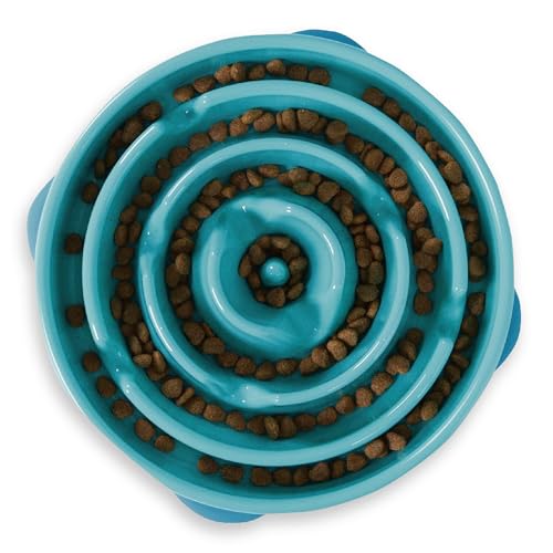 the-best-dog-bowls-for-golden-retrievers-golden-retriever-goods