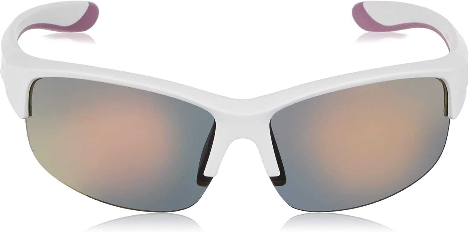 ALPINA Protection Sunglasses