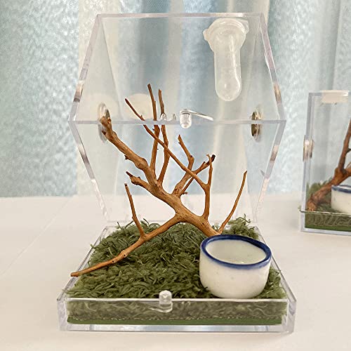 JOBEDE Jumping Spider Enclosure, Jumping Spider Habitat with Dropper Tongs Acrylic Reptile Breeding Box for Tarantula Scorpion Sling Isopods Invertebrates Insects Mantis Snake Gecko