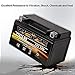 Weize YTX7A-BS High Performance - Maintenance Free - Sealed AGM Motorcycle Battery Compatible with Gas Gy6 Scooter Moped 50CC 125CC