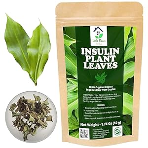 Dried Insulin Plant Leaves 1.76 oz (50g) Natural Costus Igneus Organic Herbal Tea For Sugar-free and Controls Sugar with 50 Cups – Lanka Flavors Feel Different