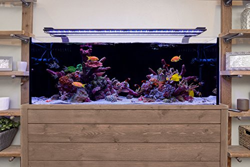 CURRENT USA 48 - 60" Inch Orbit Marine LED Saltwater Reef Marine Aquarium Light | 24 Hour IR Lighting & eFlux Wave Pump Control | Adjustable Color Spectrum for Fish Tank (4103) by CURRENT - Image 9