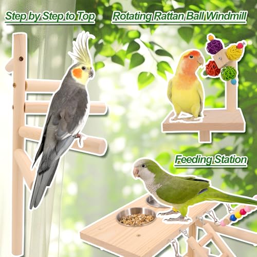 BRSLAIF Wooden Bird Parrots Playground, Bird Perch Stand, with Bird Ladder Chewing Toys, Out of Cage Accessories