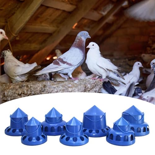 Solution d'alimentation étanche pour oiseaux et pigeons contre le gaspillage