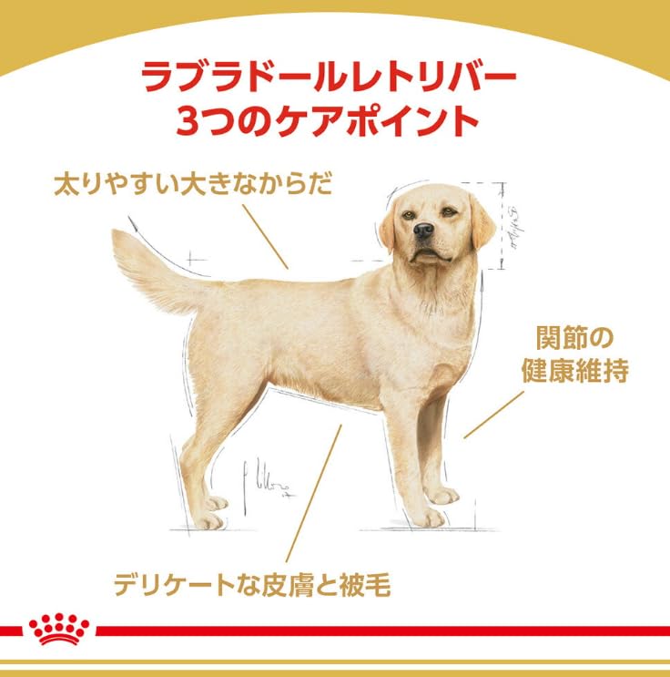 Amazon.co.jp: ロイヤルカナン BHN ラブラドールレトリバー 成犬・高齢