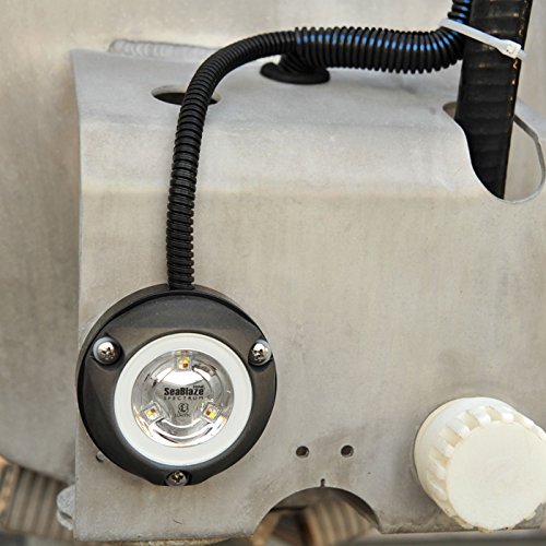 LUMIページ Hot Sell LED City Color RGBW 4in1 LED City Color Light Gbr