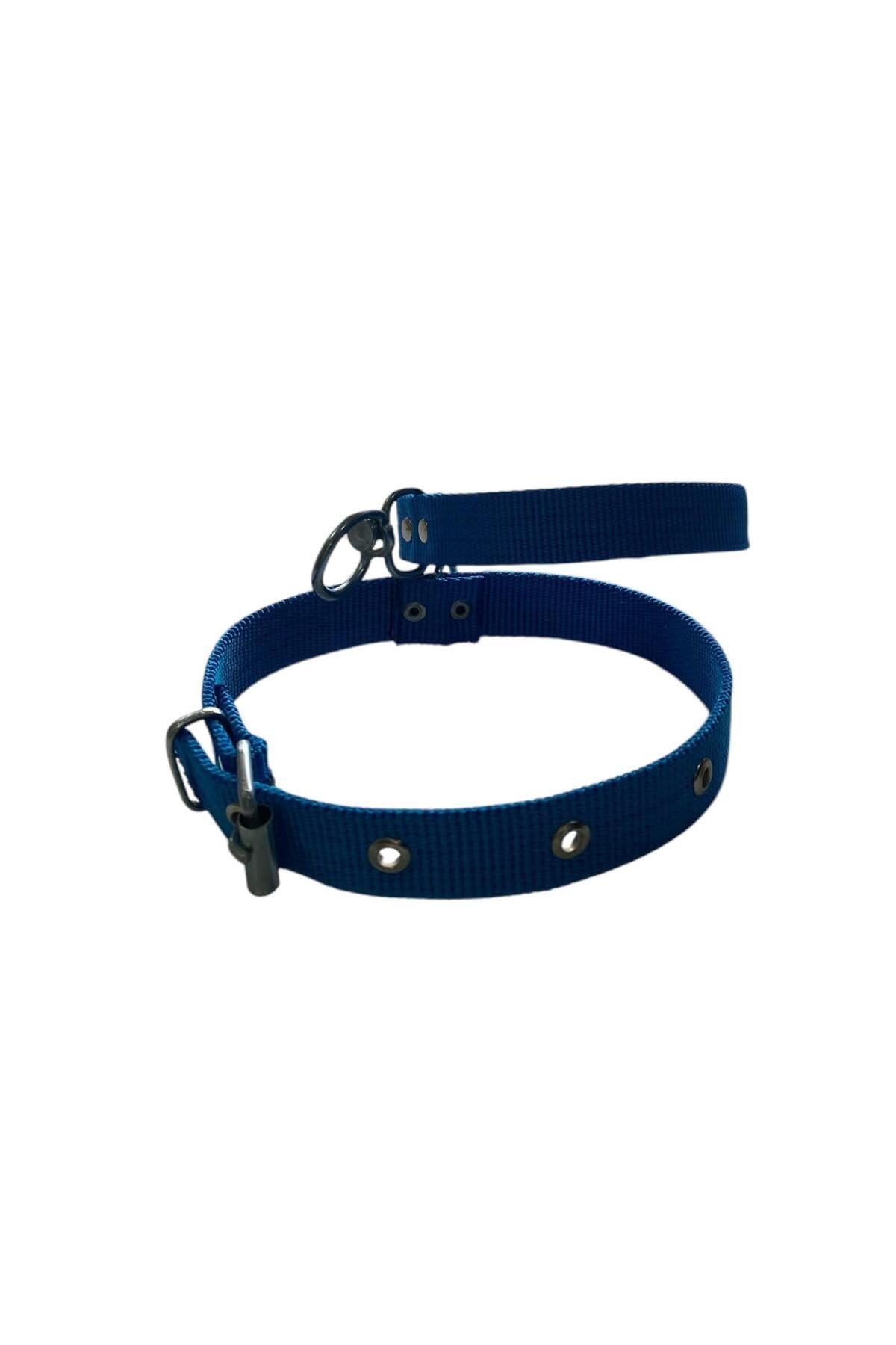 Orta Boy Köpek Tasması Mavi 50