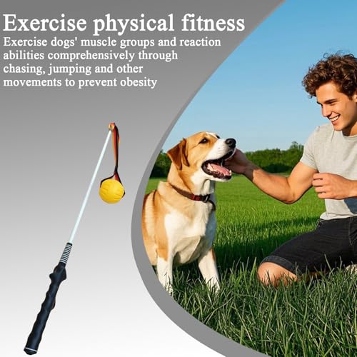 Bâton de flirt interactif pour chiens - Jouet de traction et exercice - 3