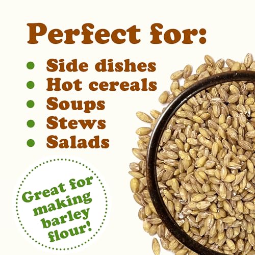 Food to Live Hulled Barley Grain, 1 Pound - 100% Whole Grain, Vegan, Great for Home Baking, Brewing, Grinding. Rich in Selenium, Fiber. Perfect for Chili, Hot Cereal, Salads. Bulk Seeds. Made in USA
