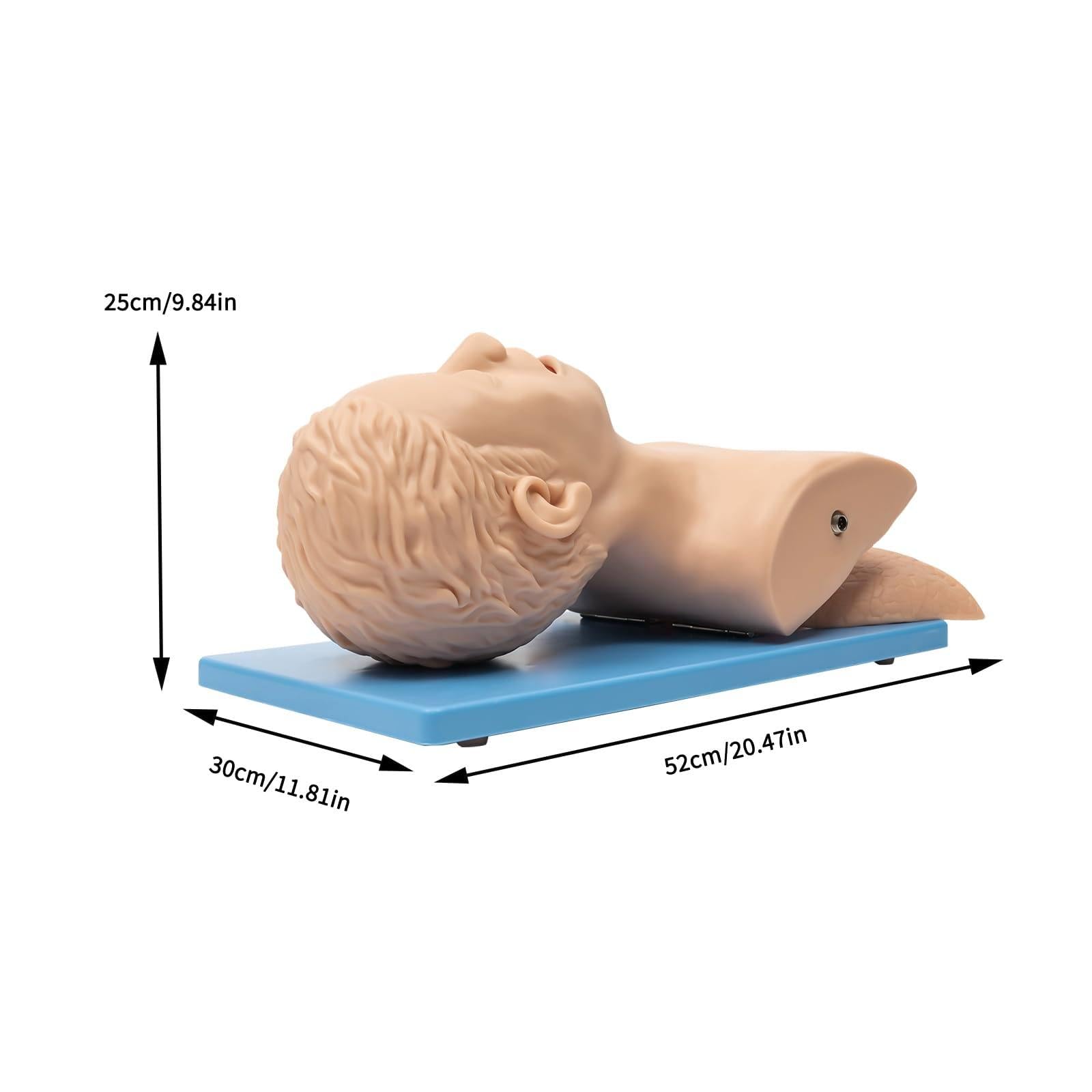 Kit di manichino per adulti per allenamento medico, gestione delle vie aeree, intubazione orale e nasale, modello didattico per professionisti sanitari, pratica di intubazione