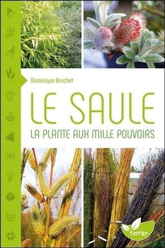 Télécharger Le Saule - La plante aux mille pouvoirs PDF