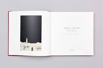 とっておきし新春福袋 SAUL / Last Leiter LEITER Copies】Saul Early