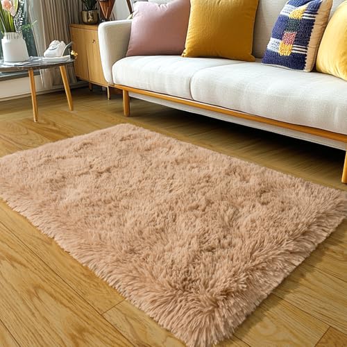 KING DARE 2x3 Area Rugs for Bedroom, Soft Small Throw Rug for Dorm, Soft Fluffy Shaggy Plush Fuzzy Shag Non-Slip Washable Carpet for Bedside Closet Girls Boys Room, Beige Rug