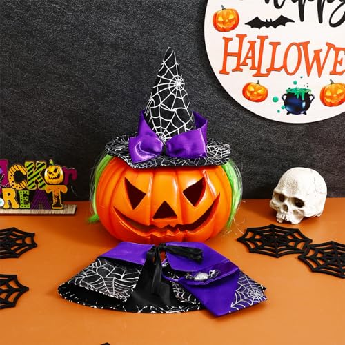Disfraz Halloween para Perro con capa y sombrero gato miniatura 6