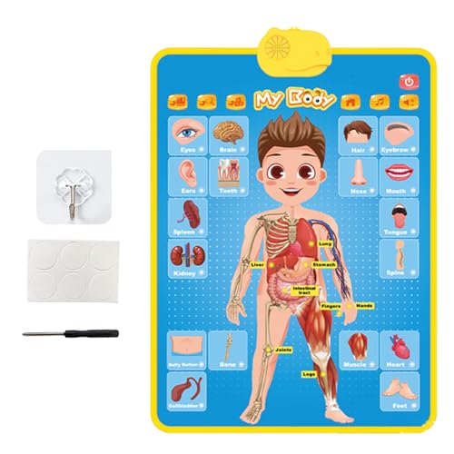 Lámina Educativa | Material Didáctico Musical para Aprendizaje