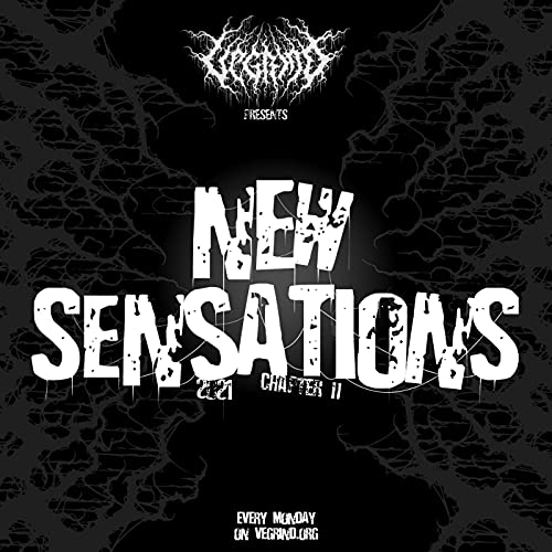 Couverture de NEW SENSATIONS 2021-chapter II